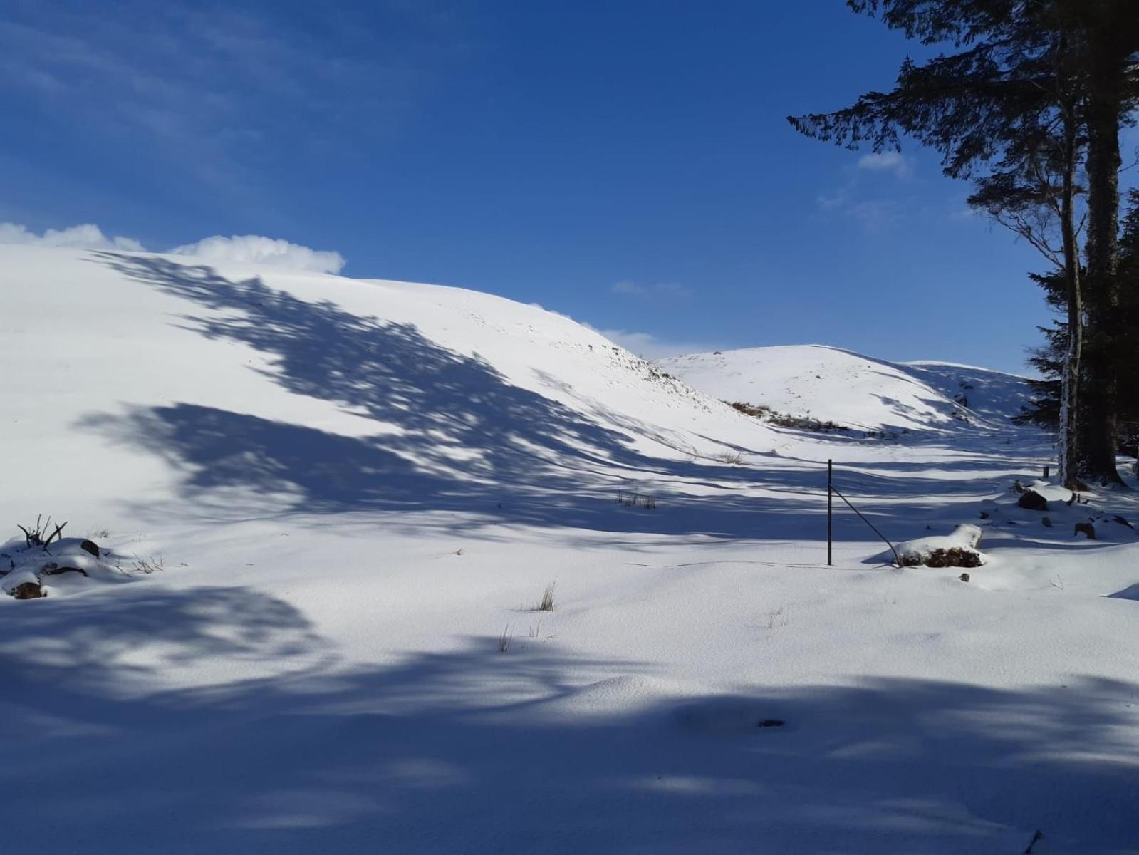 Pentland View Croft With A Sea View Apartment Melvich Екстериор снимка